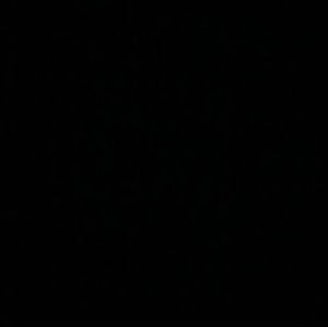 Meet your Posher, Wesley